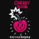 Табак Хулиган Hard - Cherry Boom (Кислая Вишня, 200 грамм) купить в Воронеже