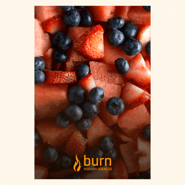 Табак Burn - Berried Treasure (Ягодный Микс, 100 грамм) купить в Воронеже