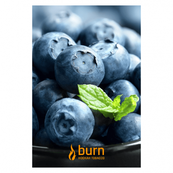 Табак Burn - Blueberry Mint (Черника с Мятой, 100 грамм) купить в Воронеже