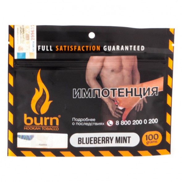 Табак Burn - Blueberry Mint (Черника с Мятой, 100 грамм) купить в Воронеже