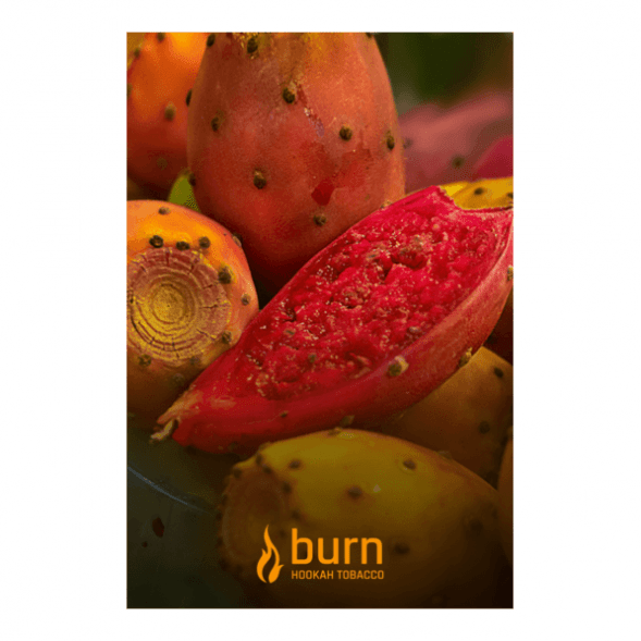 Табак Burn - Cactus (Кактус, 100 грамм) купить в Воронеже