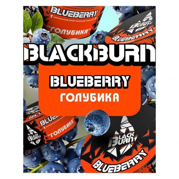Табак BlackBurn - Blueberry (Голубика, 25 грамм) купить в Воронеже