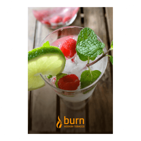 Табак Burn - Kamikaze (Лайм Малина Лед, 100 грамм) купить в Воронеже