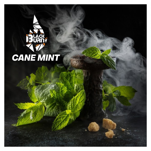 Табак BlackBurn - Cane Mint (Тростниковая Мята, 100 грамм) купить в Воронеже