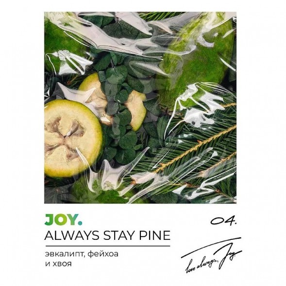 Табак Joy - Always Stay Pine (Эвкалипт, Фейхоа и Хвоя, 200 грамм) купить в Воронеже