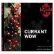 Табак Jent - Currant WOW (Кислая Смородина, 100 грамм) купить в Воронеже