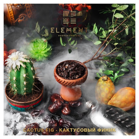 Табак Element Вода - Cactus Fig (Кактусовый финик, 100 грамм) купить в Воронеже