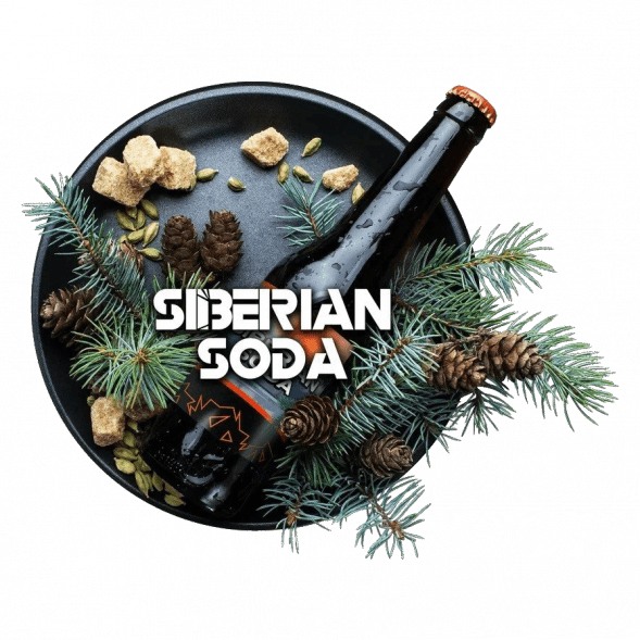 Табак BlackBurn - Siberian Soda (Лимонад Байкал, 25 грамм) купить в Воронеже