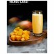 Табак DarkSide Core - MANGO LASSI (Манговый коктейль, 100 грамм) купить в Воронеже