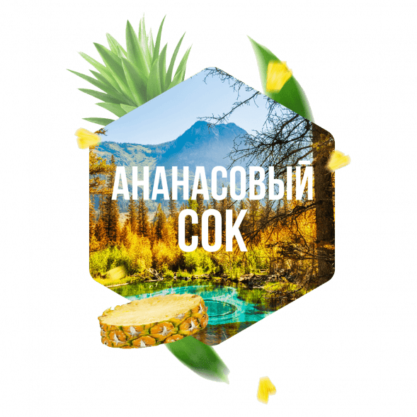 Табак Сарма - Ананасовый Сок (100 грамм) купить в Воронеже
