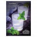 Табак Must Have - Ice Mint (Ледяная Мята, 125 грамм) купить в Воронеже