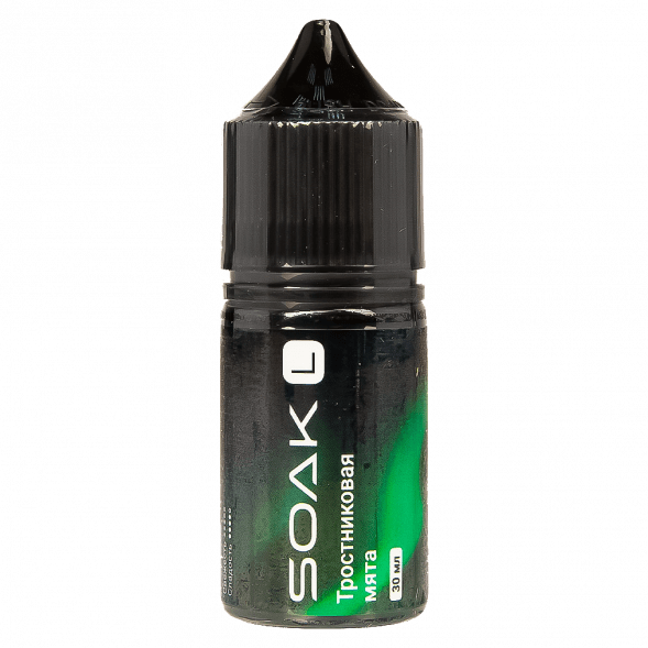 Жидкость SOAK L30 - Cane Mint (Тростниковая Мята, 30 мл, 2 мг) купить в Воронеже