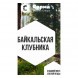 Табак Сарма - Байкальская Клубника (200 грамм) купить в Воронеже