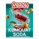 Табак Ready - №3 Kumquat Soda (Газировка, Кумкват, 25 грамм) купить в Воронеже