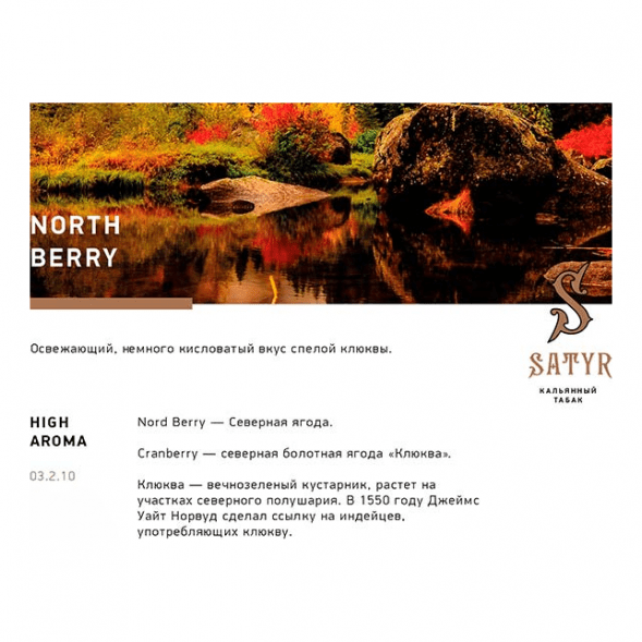 Табак Satyr - North Berry (Северная Ягода, 25 грамм) купить в Воронеже