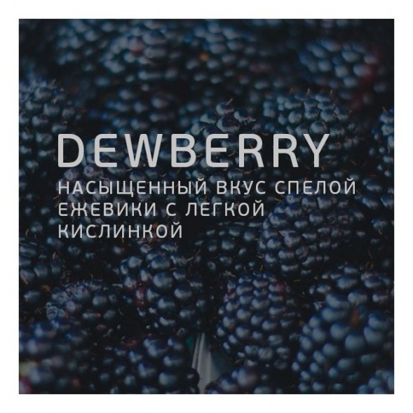 Табак Twelve - Dewberry (Ежевика, 100 грамм, Акциз) купить в Воронеже