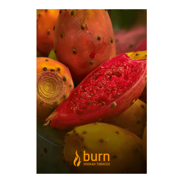 Табак Burn - Strawberry Jam (Клубничное Варенье, 25 грамм) купить в Воронеже