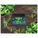Смесь Malaysian Mix Medium - Mint (Мята, 50 грамм) купить в Воронеже