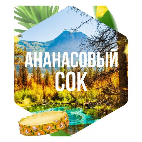 Табак Сарма - Ананасовый Сок (40 грамм) купить в Воронеже