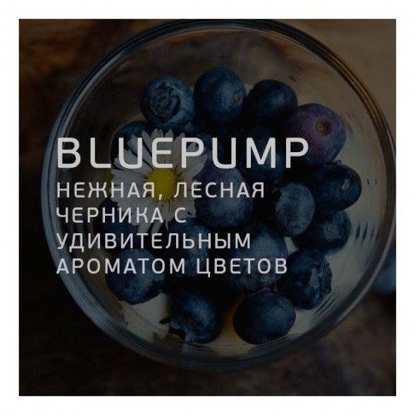 Табак Twelve - Blue Pump (Черника, 100 грамм, Акциз) купить в Воронеже